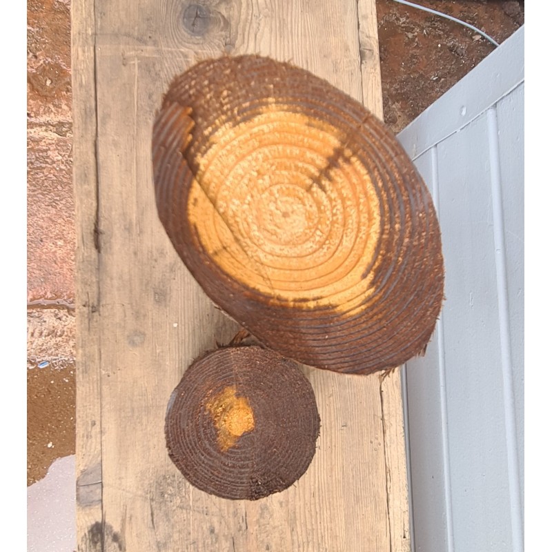 60 mm x 1650 mm MR (5 ft x 2.5 inch)